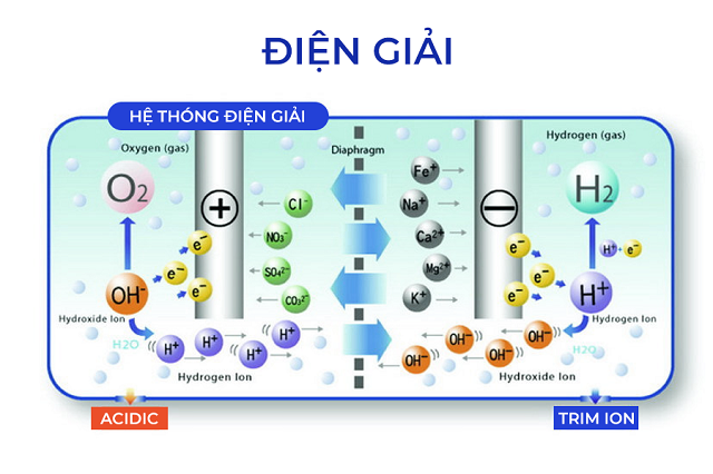 Trimion Gracia Nước ion kiềm giàu Hydro được tạo ra bởi công nghệ điện giải