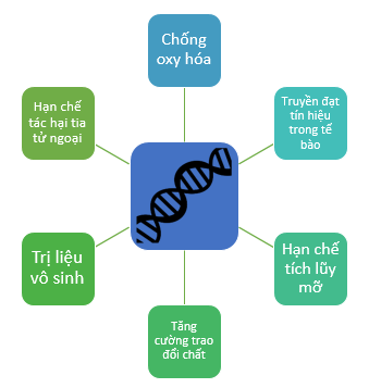 Trimion Gracia nghien cuu muc te bao 7