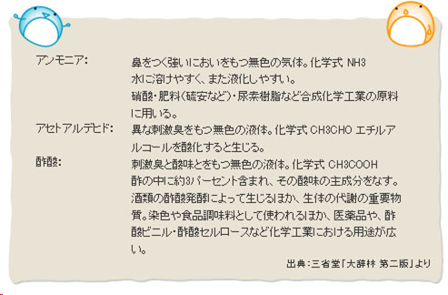 image4 image4