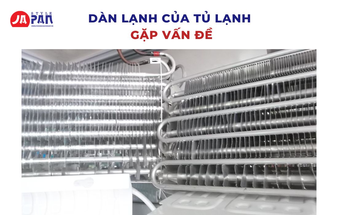 Nguyên Nhân Tủ Lạnh Kêu To Ở Ngăn Đá Và Cách Khắc Phục 3 Dàn lạnh lỏng vít gây ồn