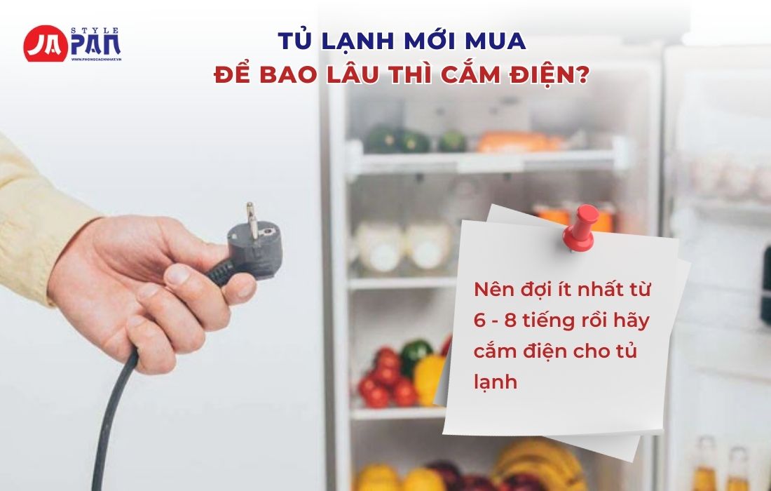 Tủ Lạnh Mới Mua Về Nên Làm Gì - Những Lưu Ý Quan Trọng Bạn Nên Biết 1 Tủ lạnh mới mua để bao lâu thì cắm điện