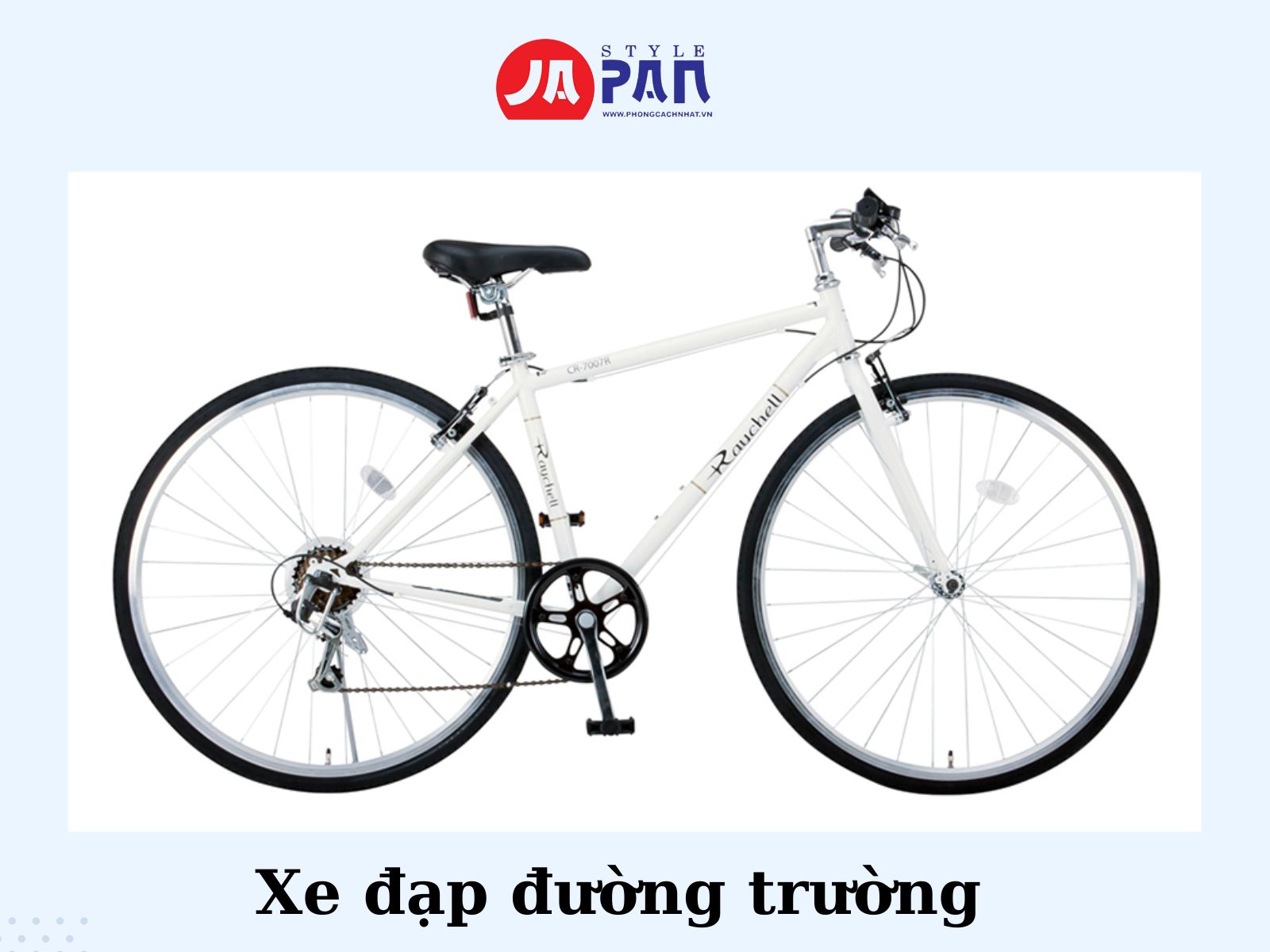 Xe đạp địa hình