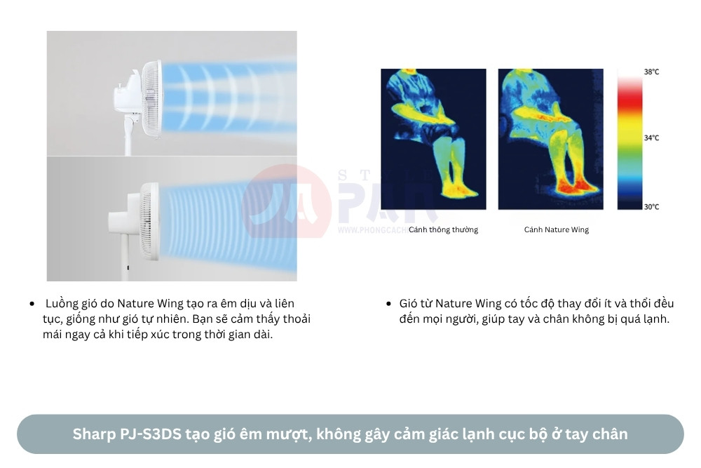 Quạt Sharp PJ-S3DS | Động cơ DC êm ái, tuần hoàn gió tối ưu 31 Sharp PJ-S3DS tạo gió êm mượt, không gây cảm giác lạnh cục bộ ở tay chân